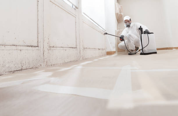 24/7 Emergency Mold Remediation experts in Cambridge, MA
